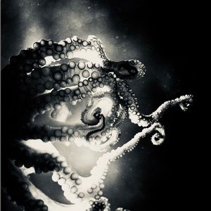 Meet your Posher, Lydia